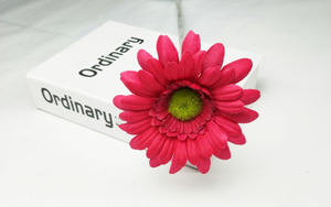 Single gerbera
