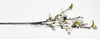 4 Forks small magnolia