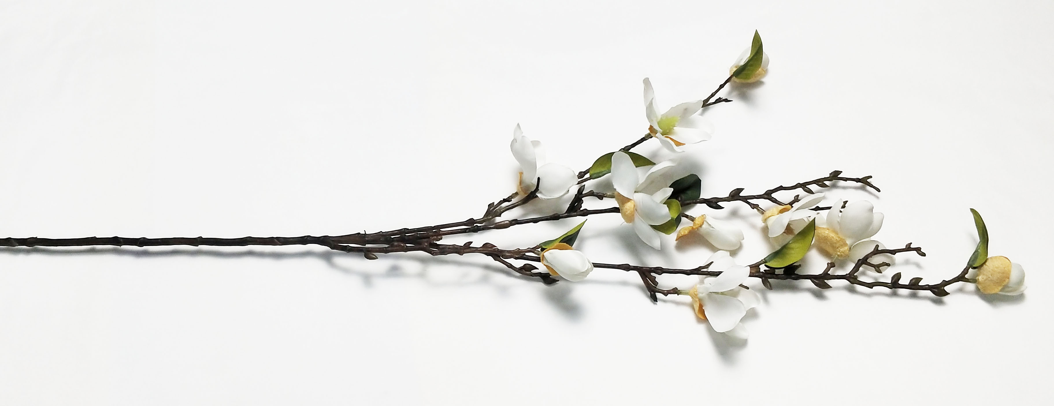 4 Forks small magnolia
