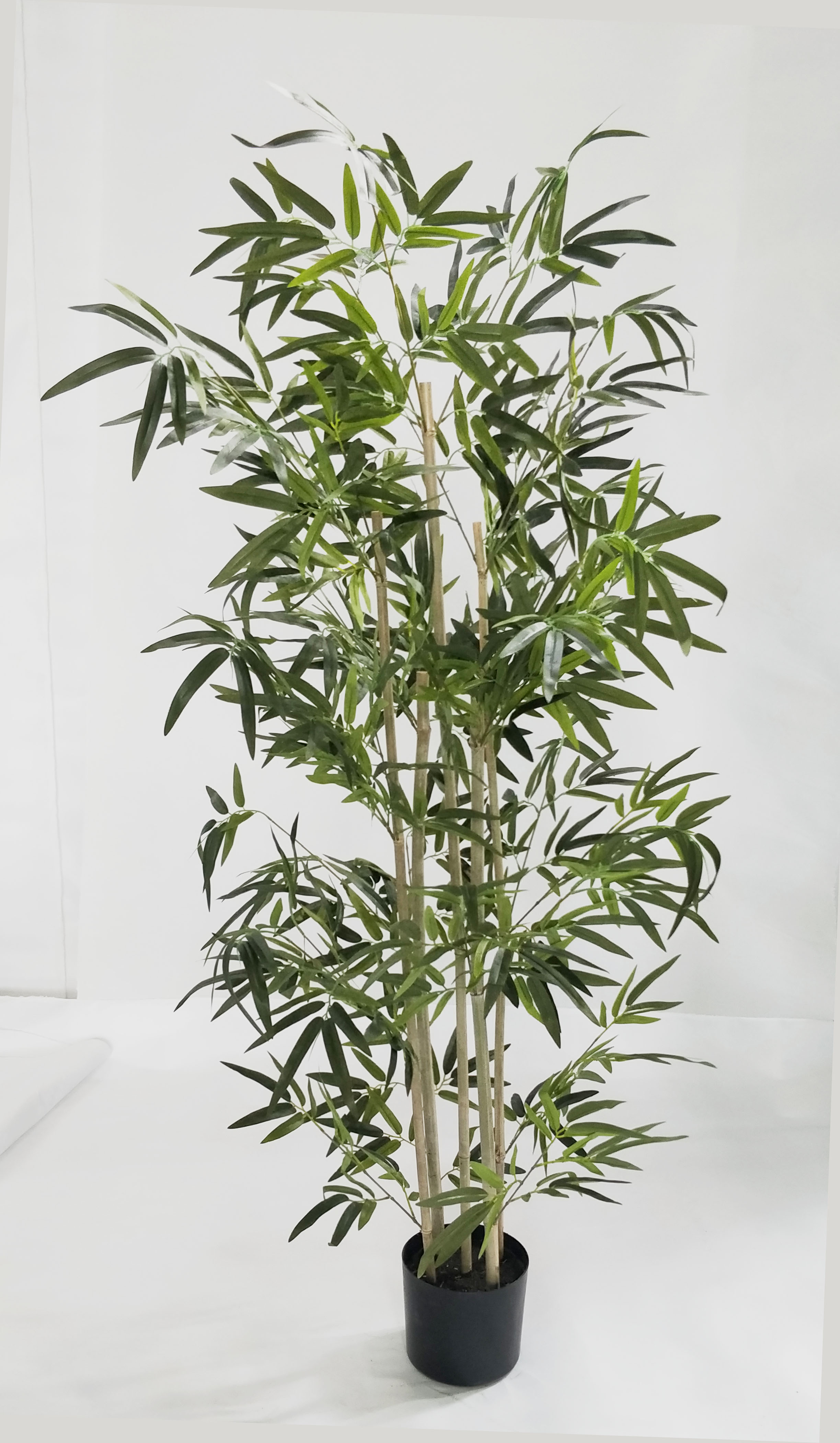 150cm Bamboo