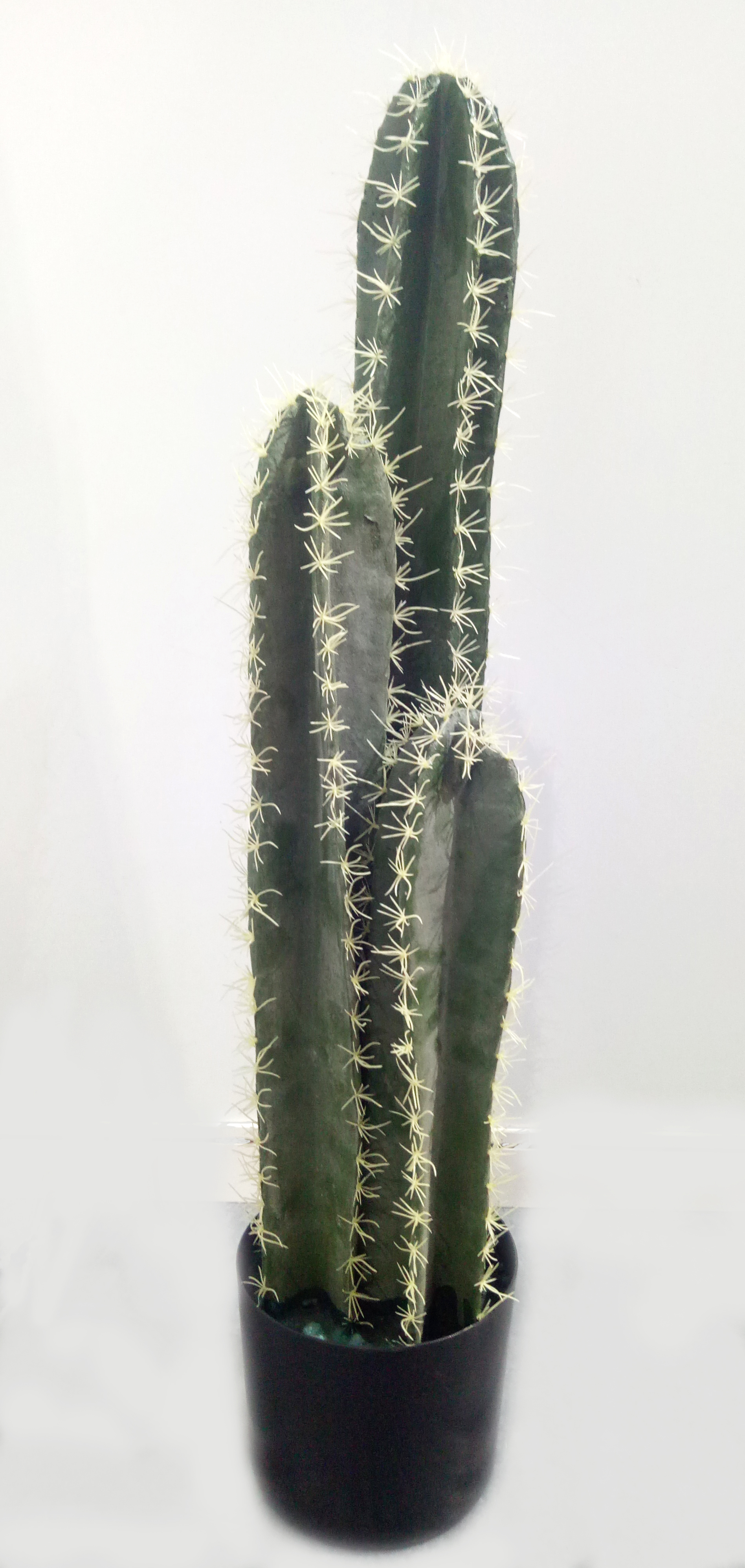 85cm Columns Cactus