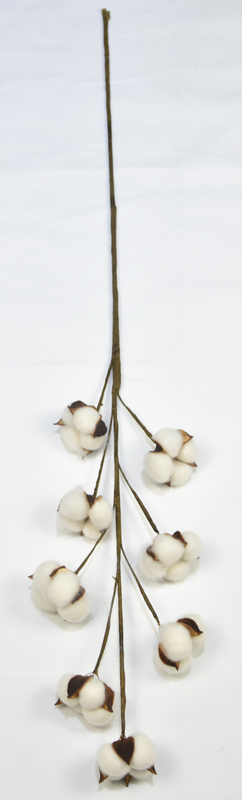 8T-Cotton