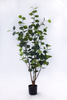 120cm Eucalyptus