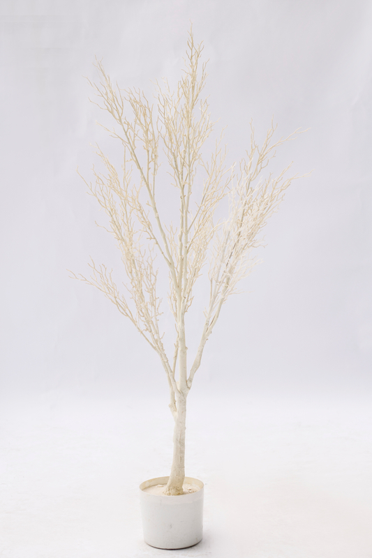 135cm White Plant