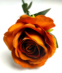 A Single Big Lover Rose