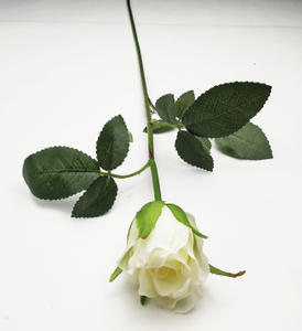 Rosebud