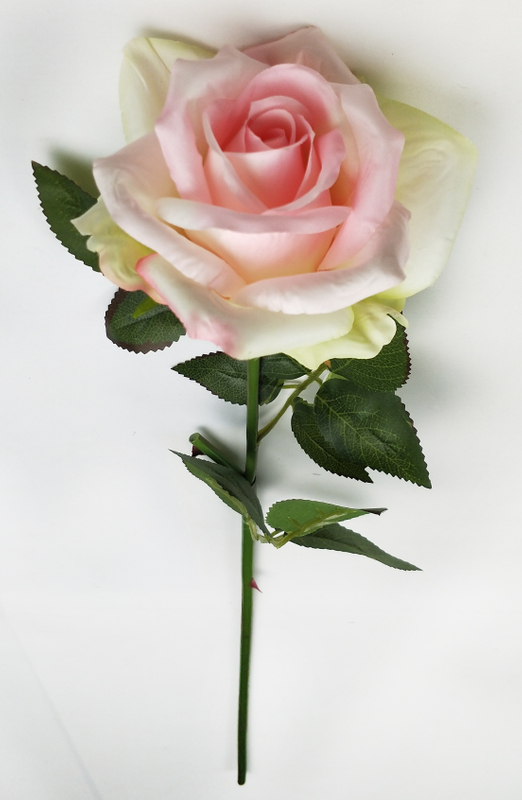 Single New Horn Rose