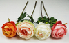 Single Roll Rose