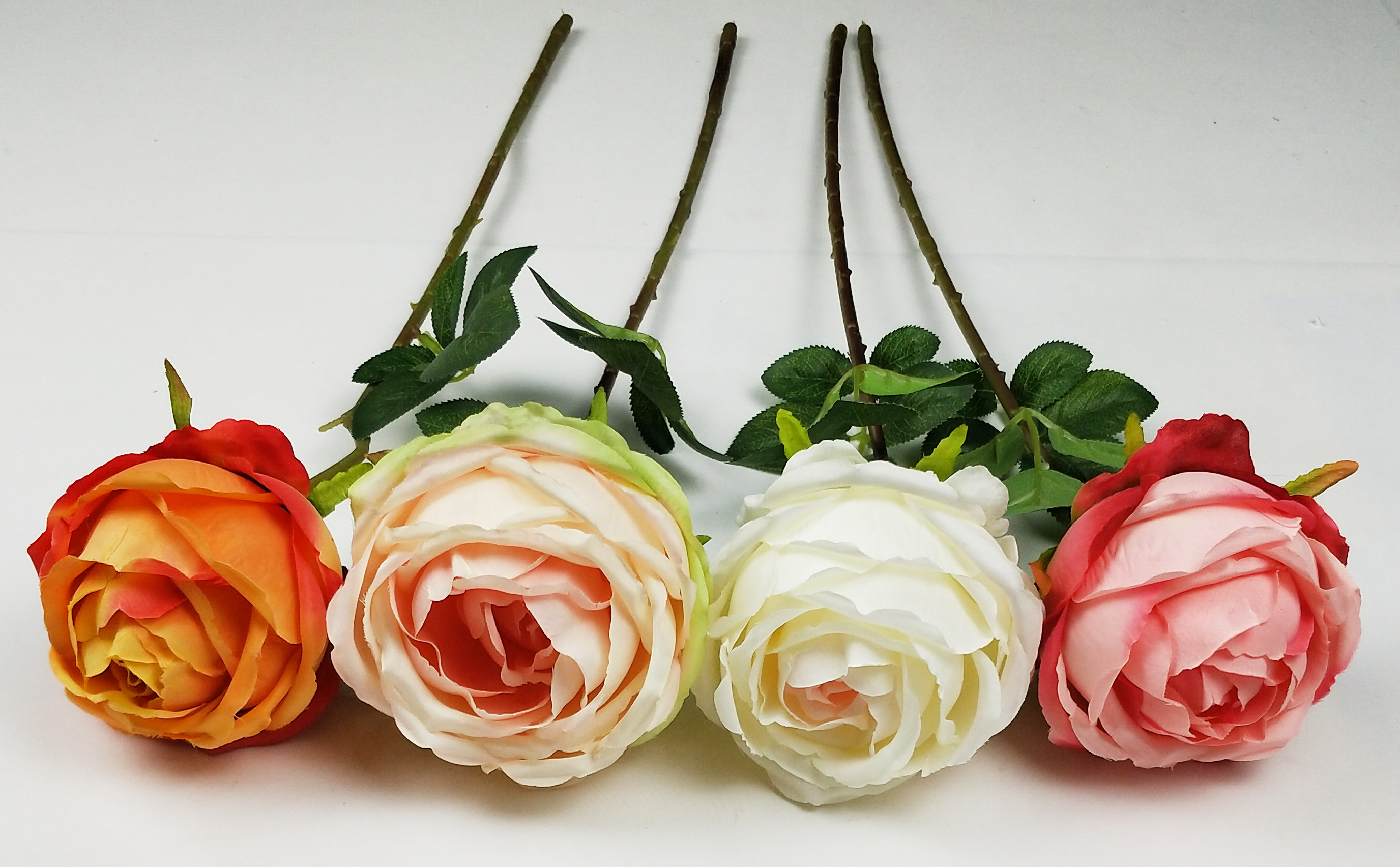 Single Roll Rose