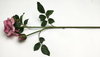 Multilayer Rose-2T