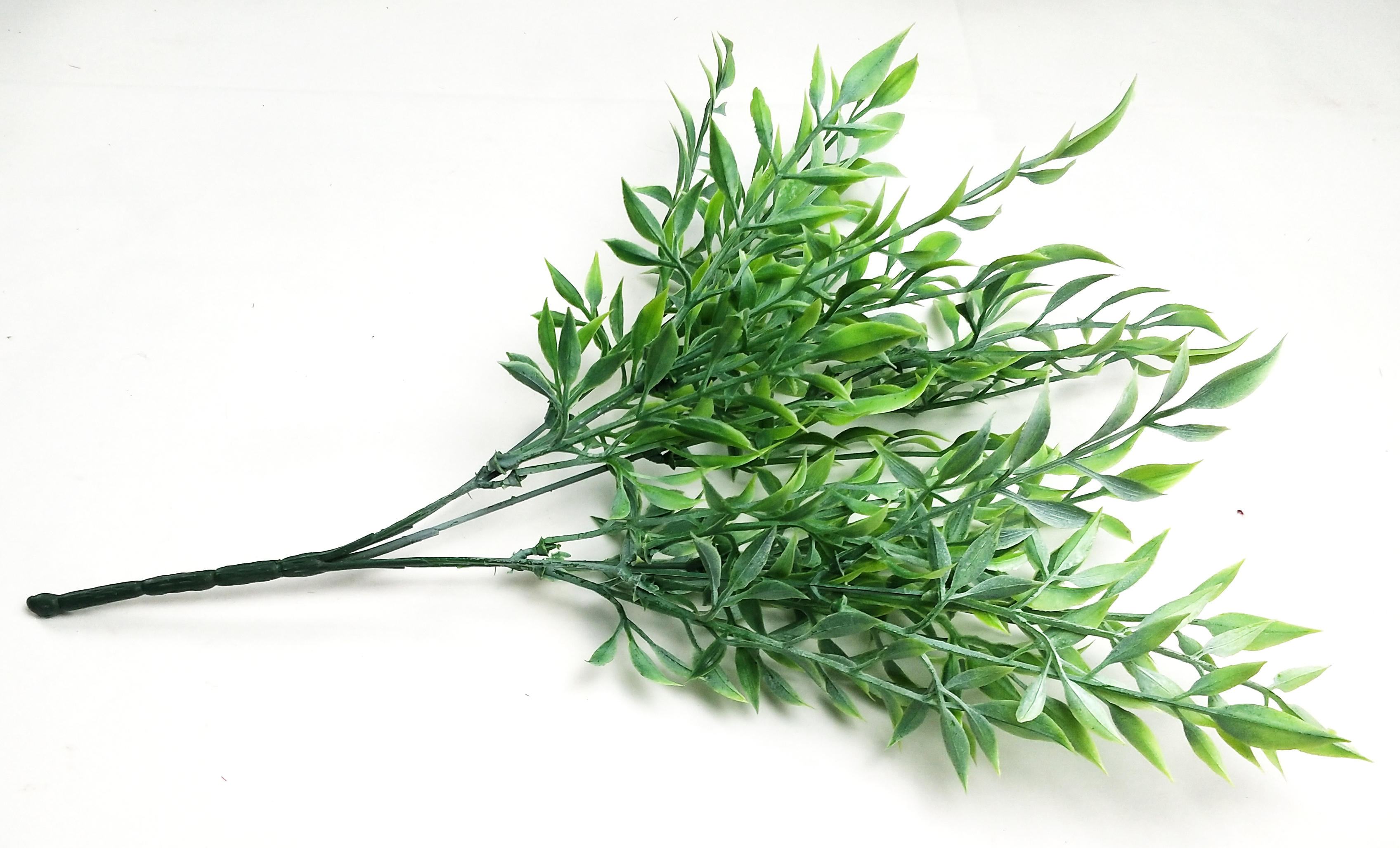 Small leaves