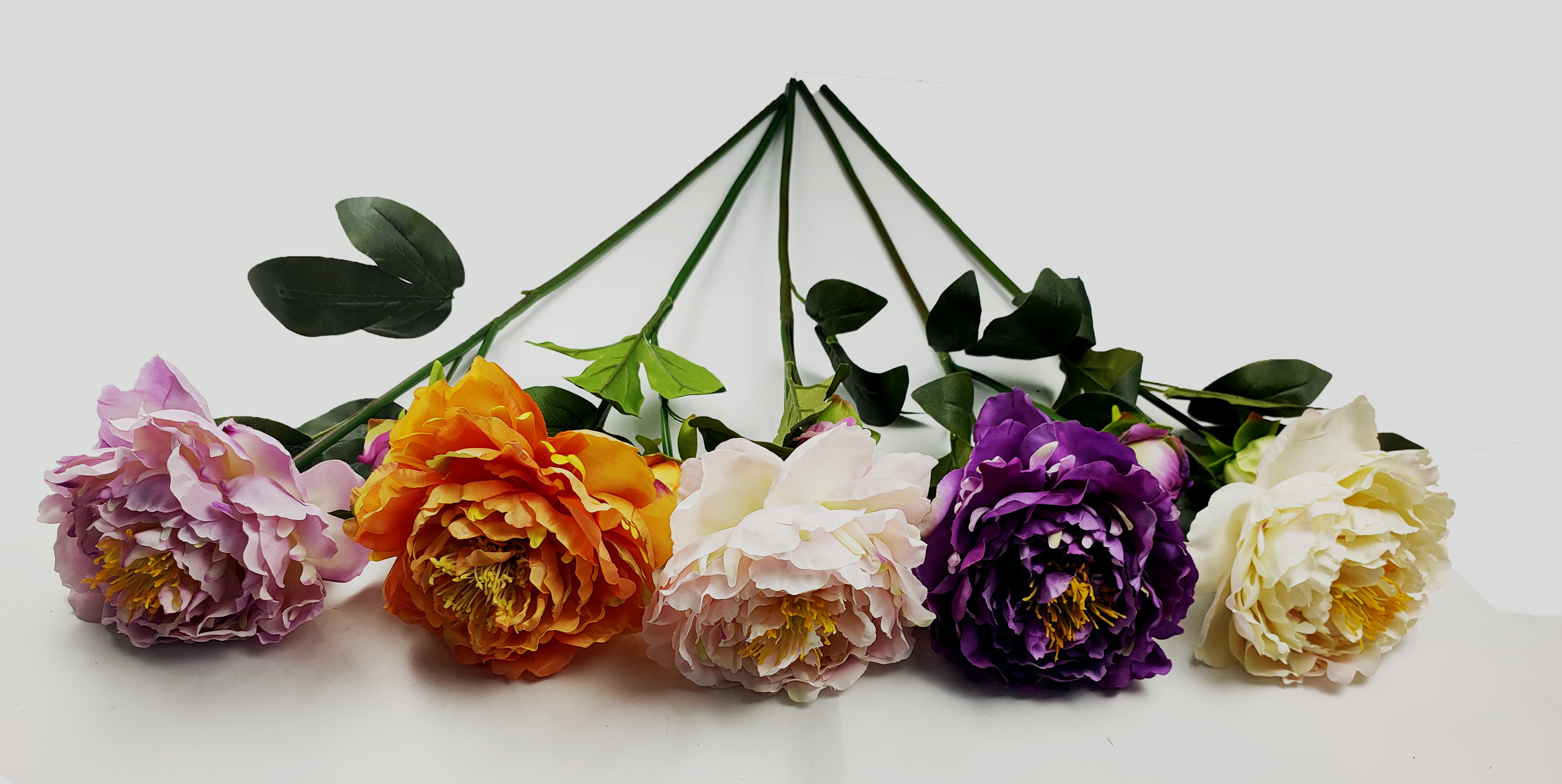 Peony-2T