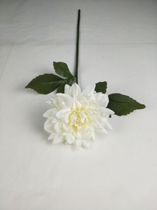 West Lotus-1T