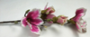 5 Plastic stem magnolias