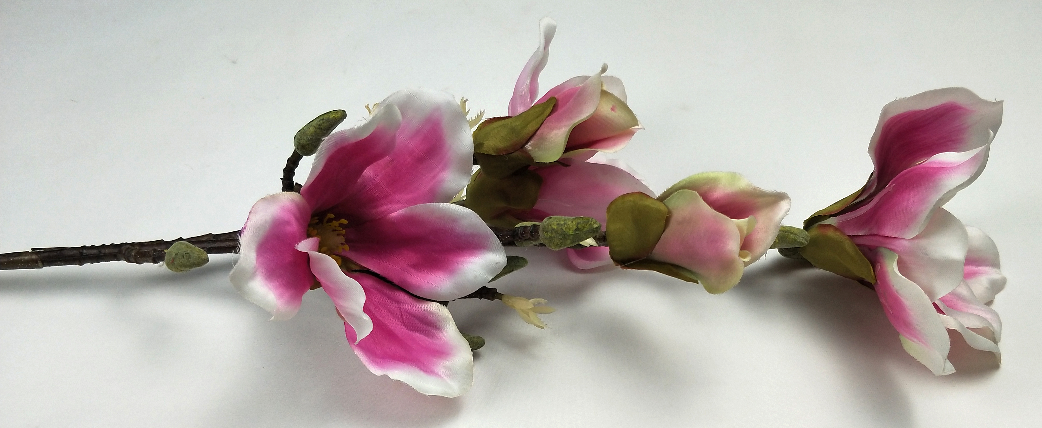 5 Plastic stem magnolias