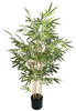 120cm Bamboo