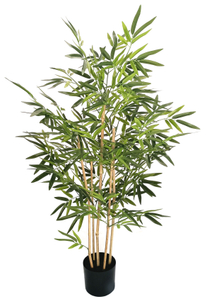 120cm Bamboo