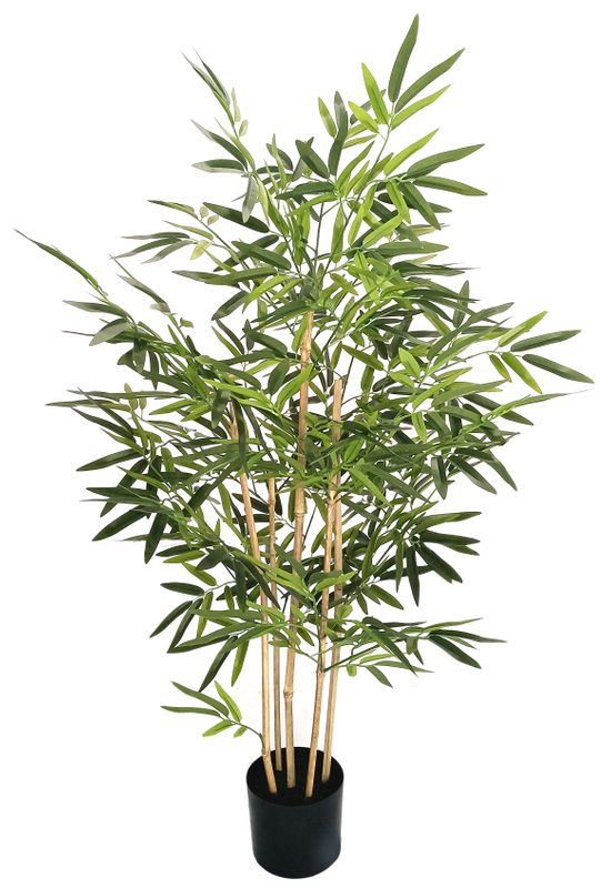 120cm Bamboo