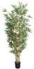 210cm Bamboo