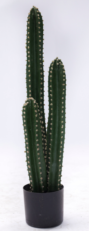 85cm Columns Cactus