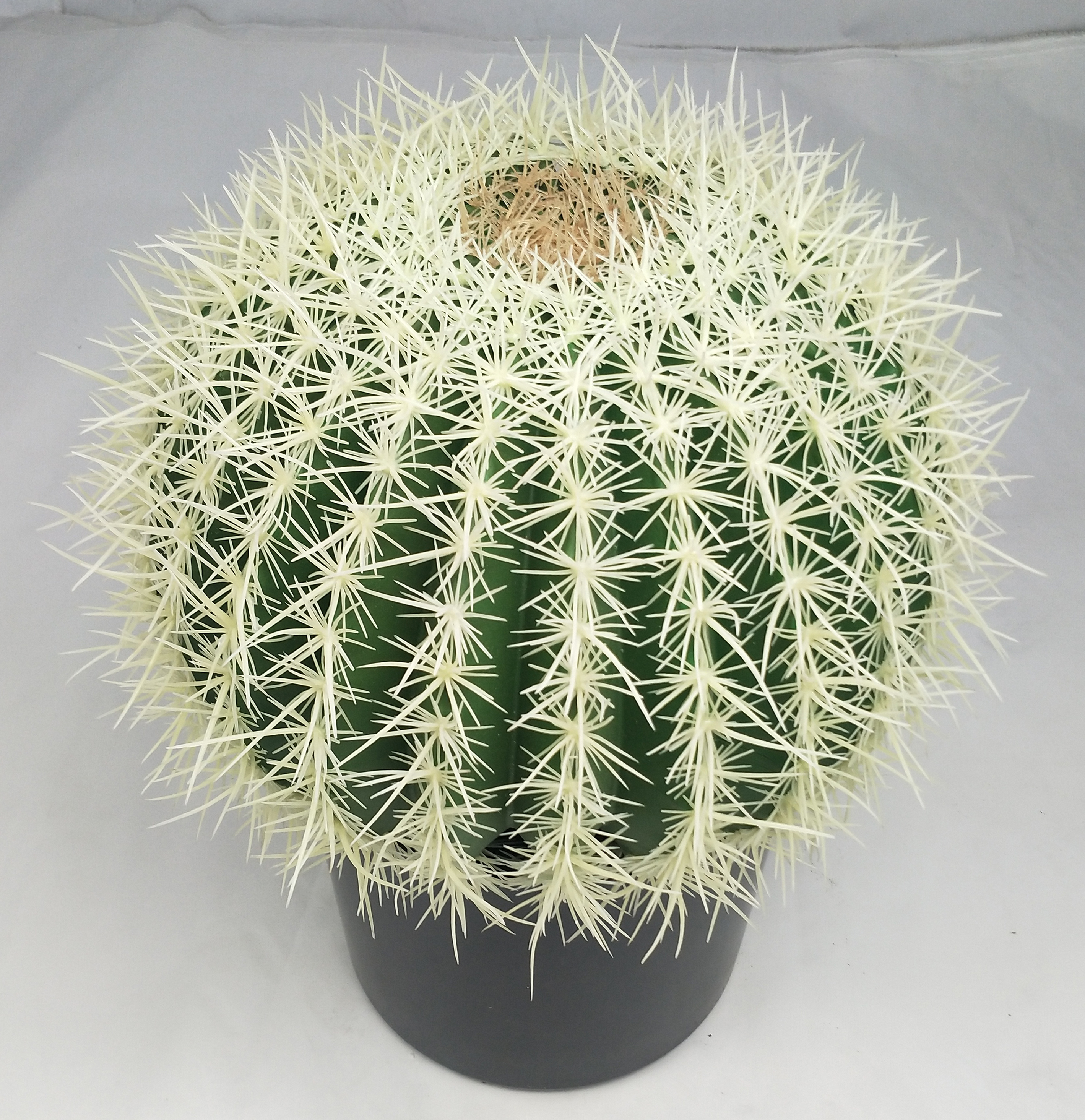 40cm Ball Cactus