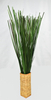 Water Bamboo