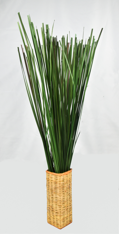 Water Bamboo