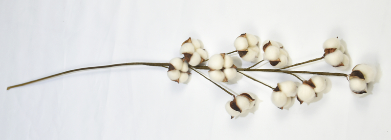 10T-Cotton