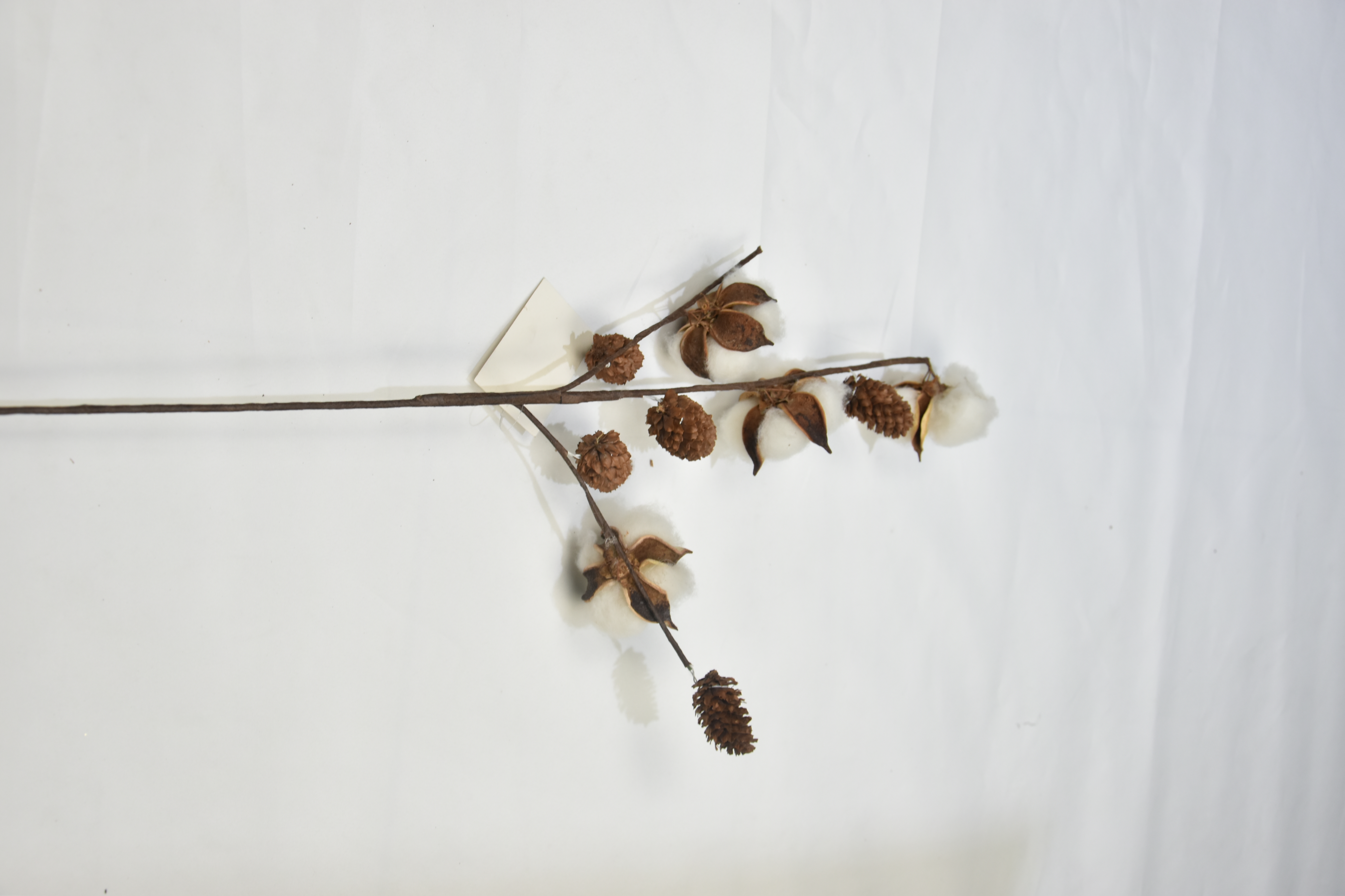 4T-Cotton（Hazelnut）