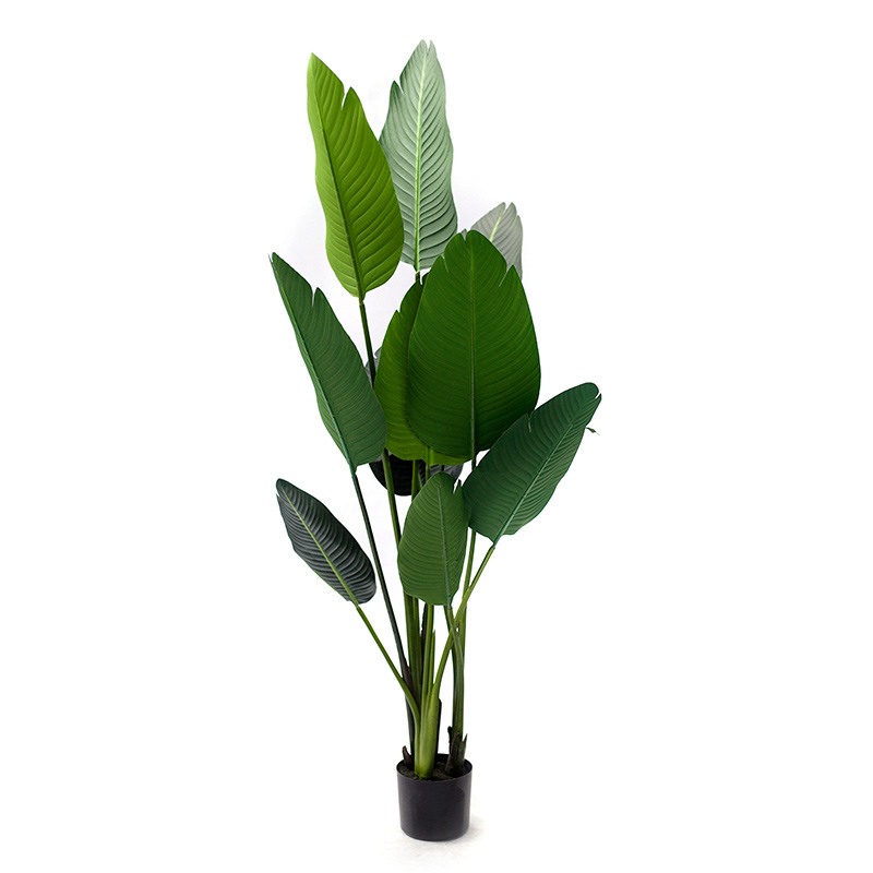 150cm Giant Bird of Paradise