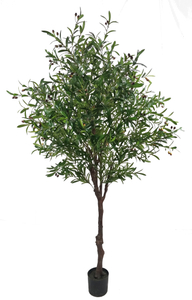 240cm Olive