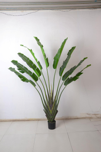 190cm M Banana Tree