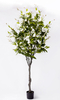 240cm Magnolia