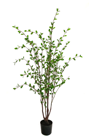 125cm Small Leaves Tree