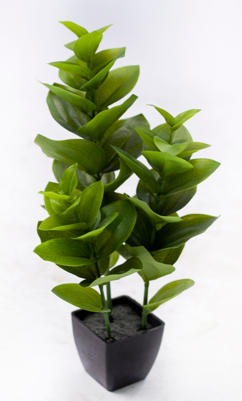 42cm Spring Blossom