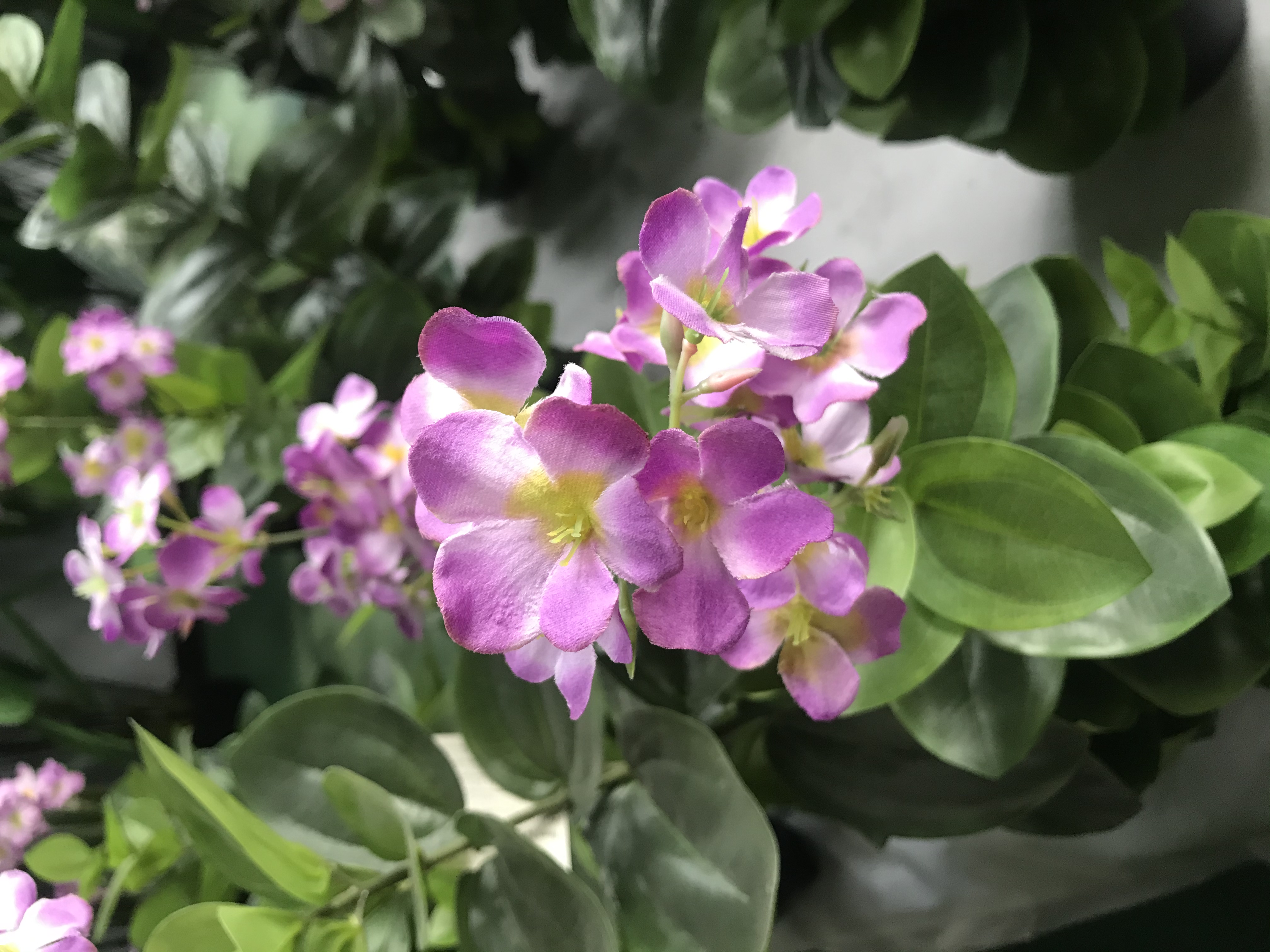 80cm Spring Blossom with flowers