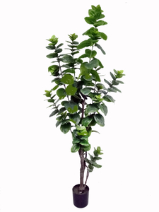220cm Spring Blossom