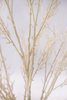 165cm White Plant