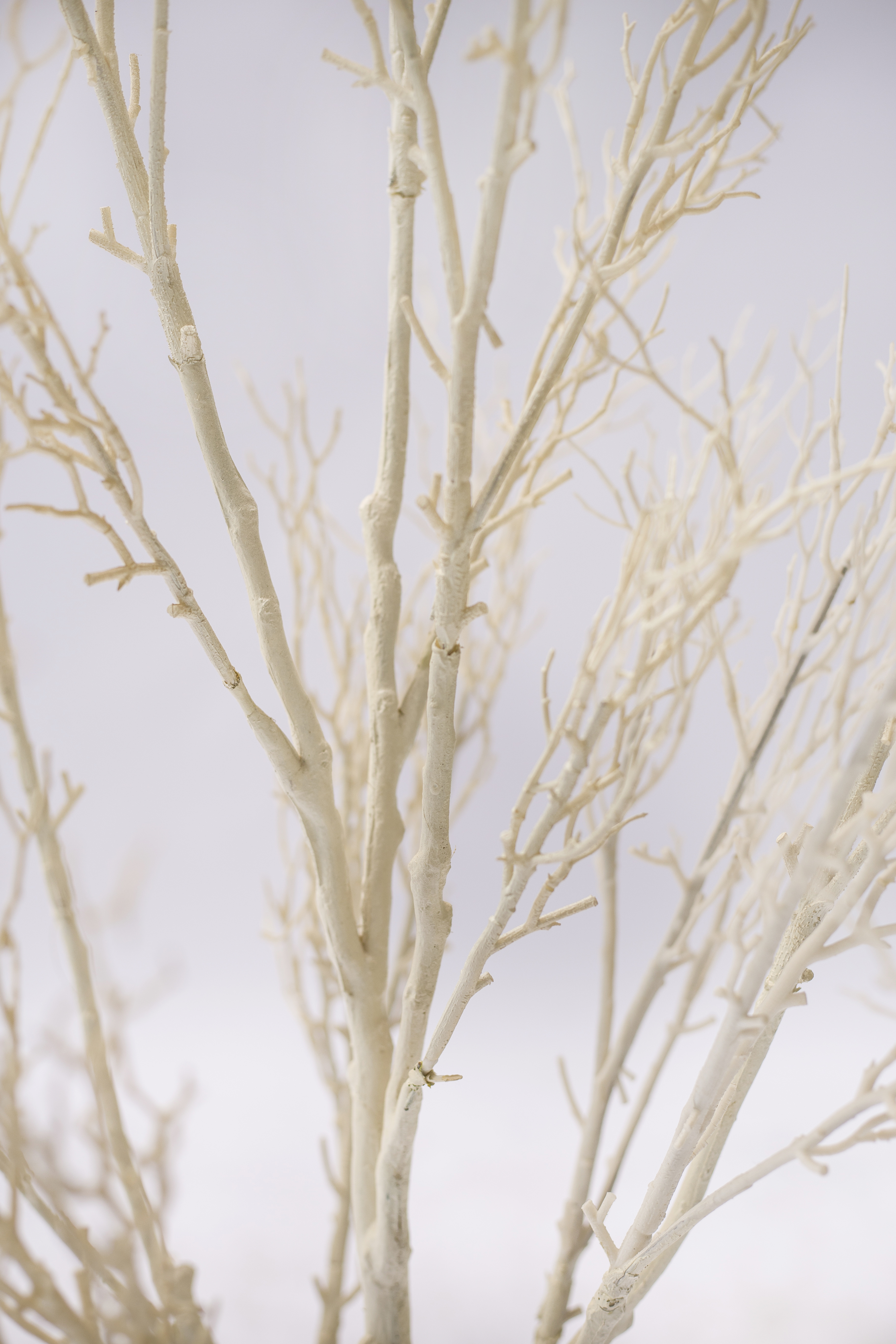 165cm White Plant