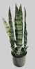 50cm Abram Tiger