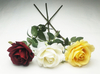 Single Middle Round Rose