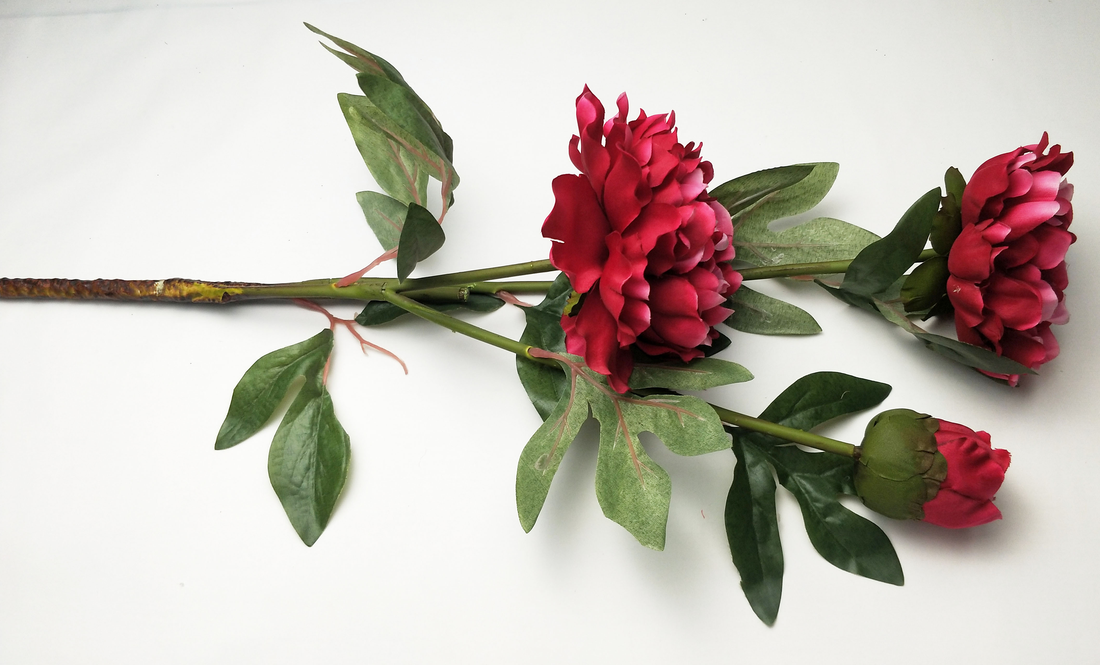 Peony-3T