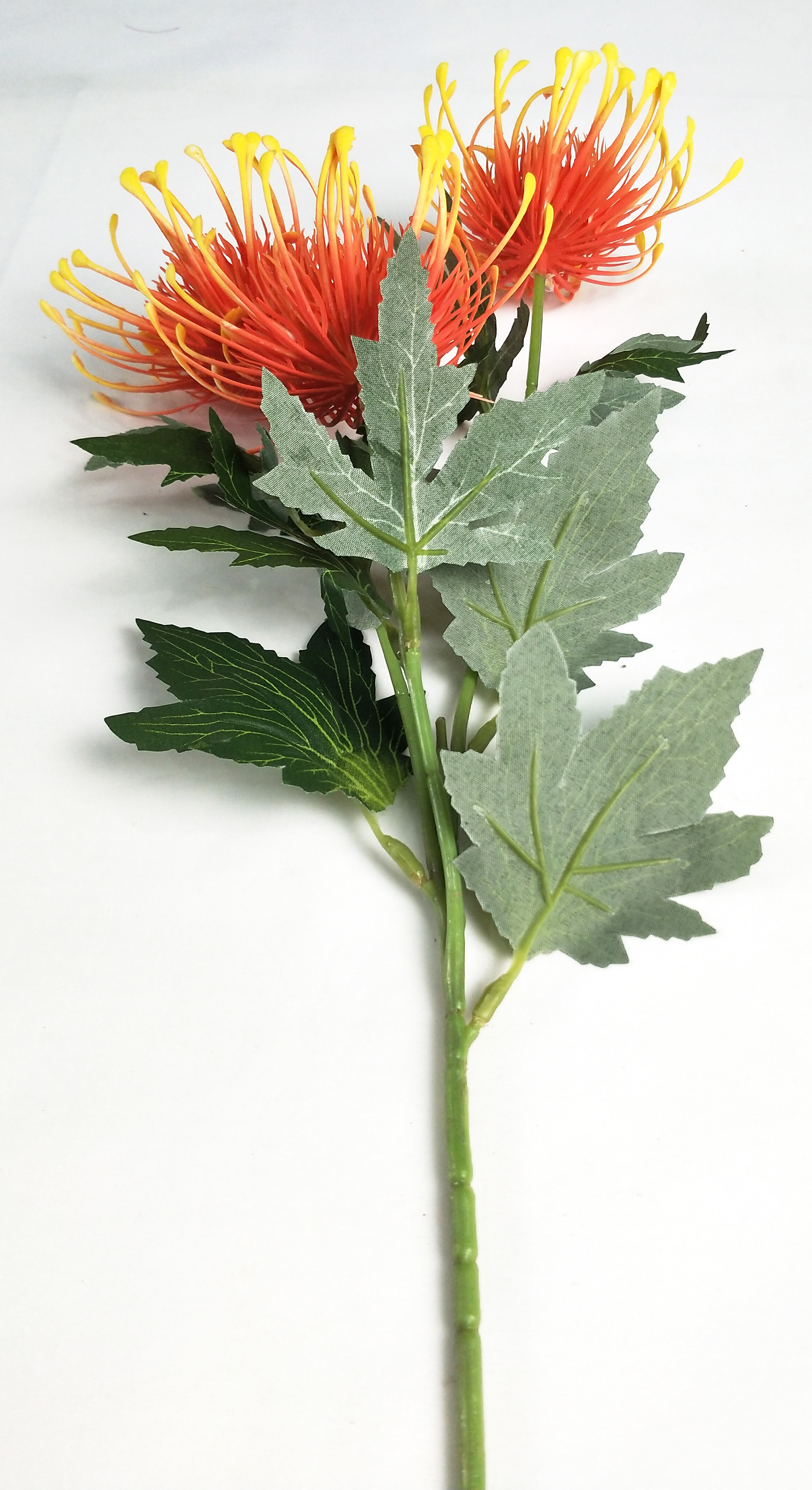 Plastic chrysanthemum-3T
