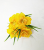 Narcissus bouquet