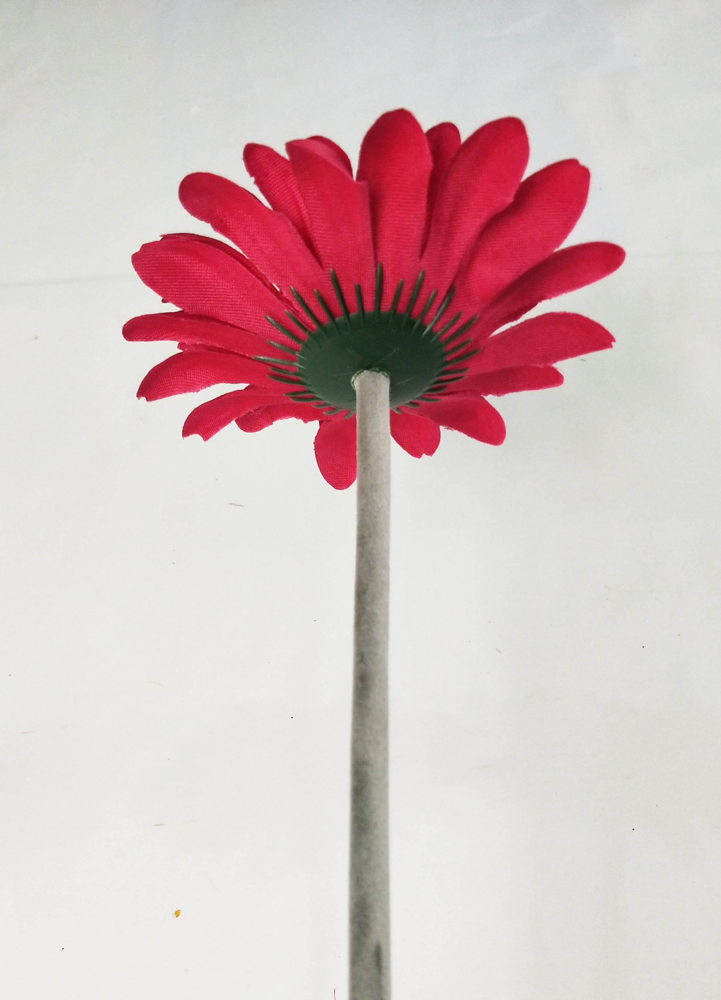 Single gerbera