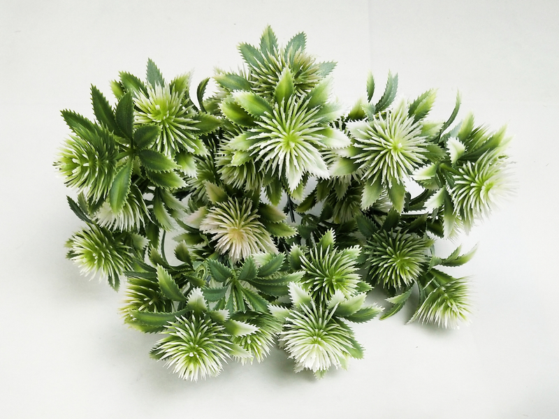 Pine