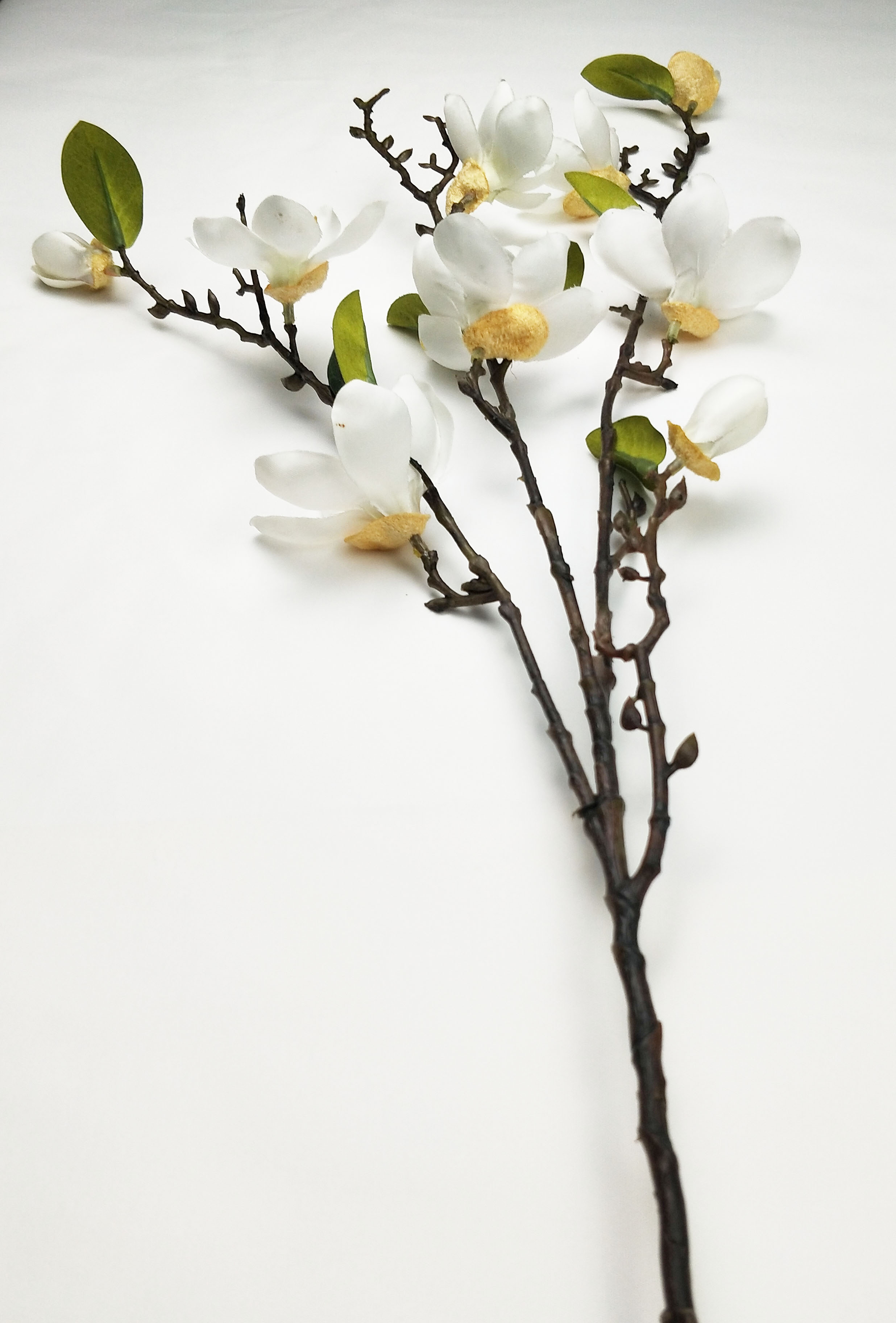 4 Forks small magnolia