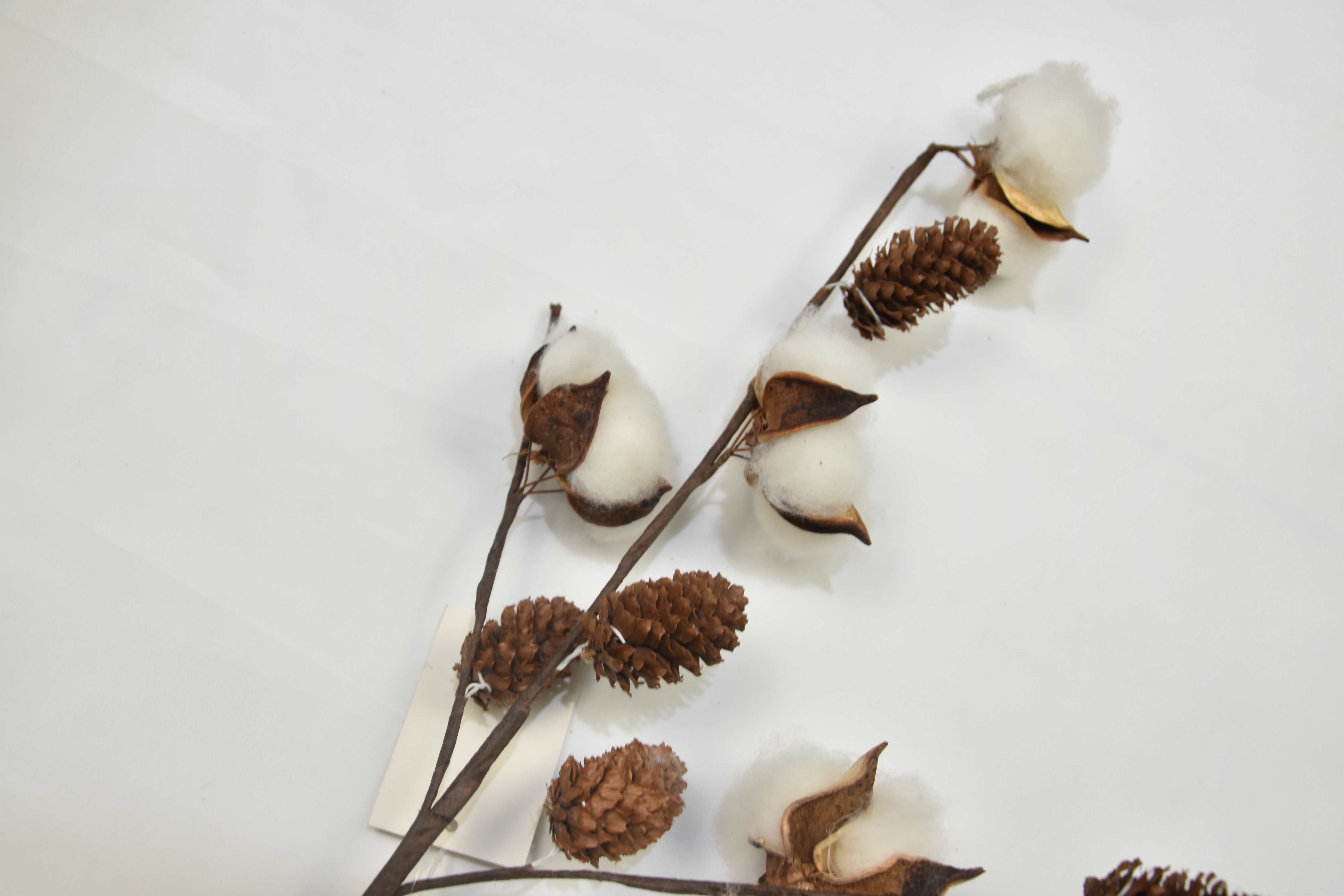 4T-Cotton（Hazelnut）