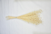Flax