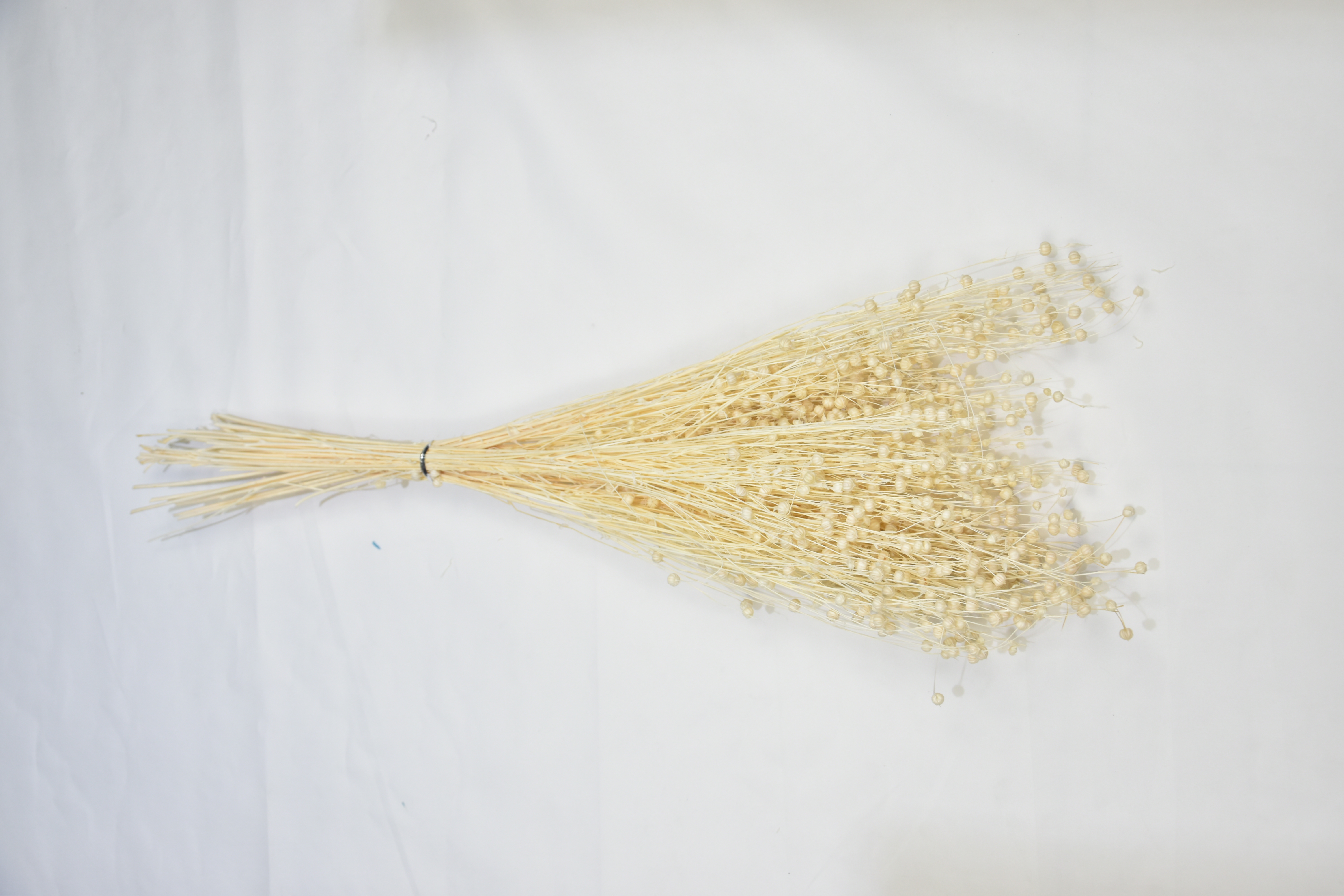 Flax